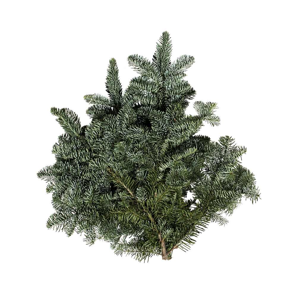 Granris bunt Nobilis (ädel) 5kg (gult band) mot en vit bakgrund.