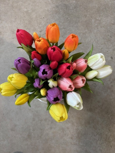 Konstgjorda Tulpaner 5-pack i assorterade färger som visas på en grå yta.