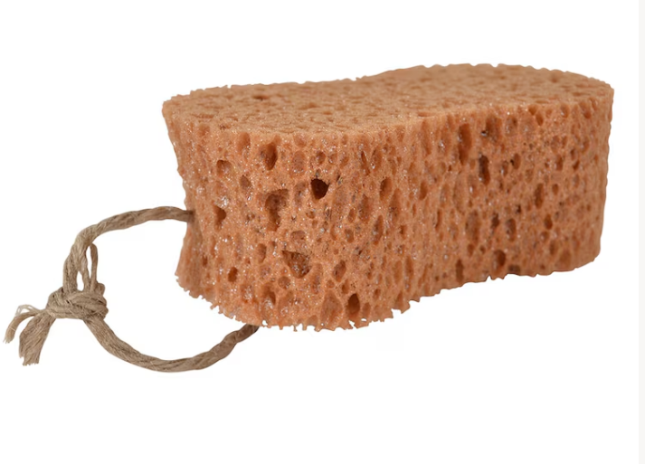 Groomingsvamp brun badsvamp med repögla på en vit bakgrund.