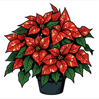 Blomma Julstjärna: krukväxt med röda blad och grönt bladverk.