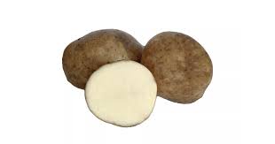 Sättpotatis MARIS BARD 1kg