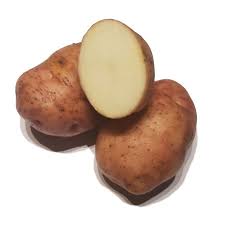 Sättpotatis EARLY ROSE 1kg