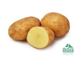 Sättpotatis QUEEN ANNE  Årets potatis 2026!