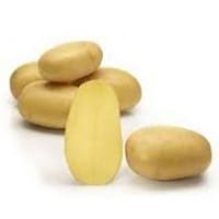 Sättpotatis SILLA 1kg