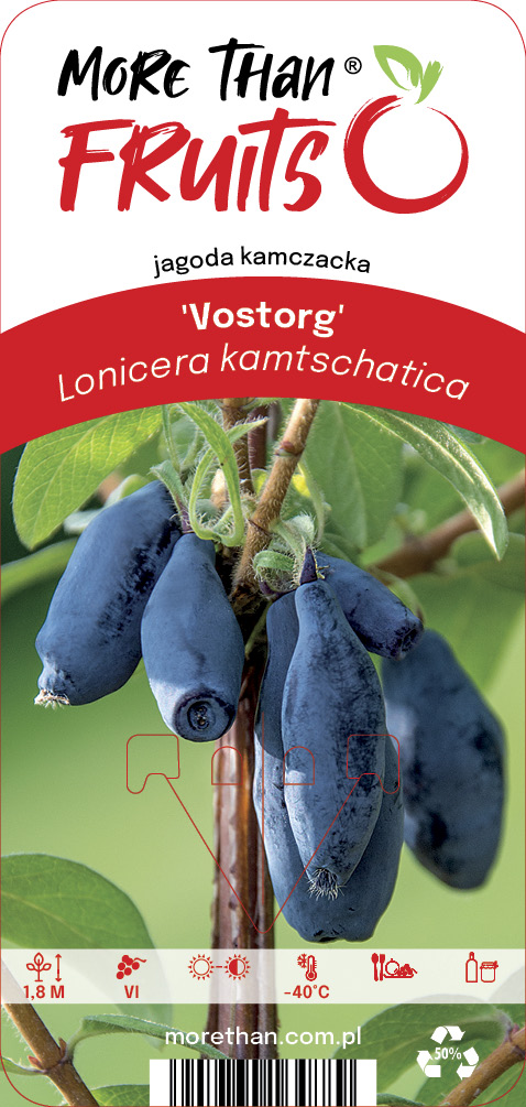 Blåbärstry Vostorg C2