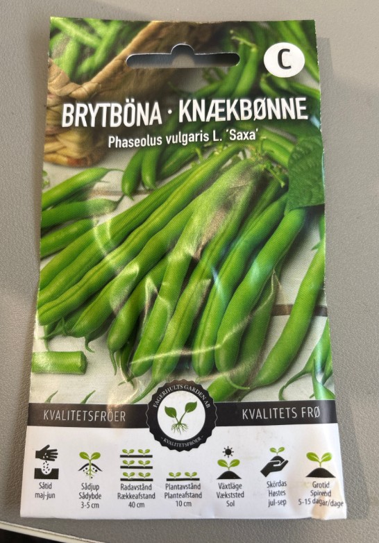 Brytböna ’Saxa’